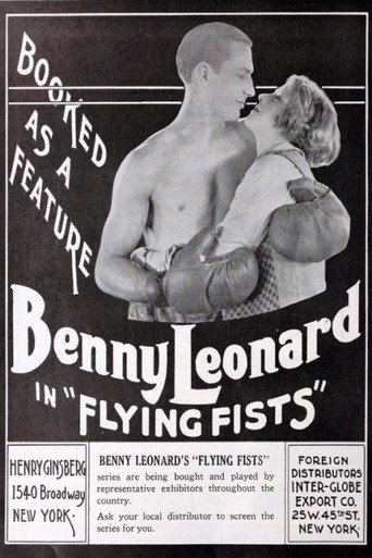 Movie poster for Flying Fists (1924)