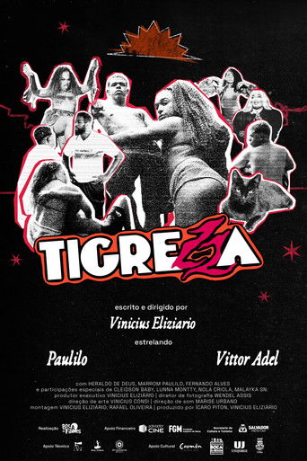 Tigrezza poster