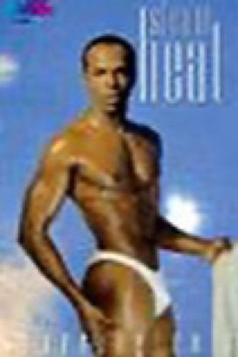 Movie poster for Steam Heat (1993)