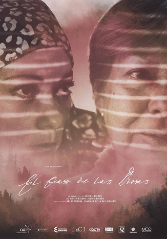 Movie poster for El ocaso de las diosas (2016)