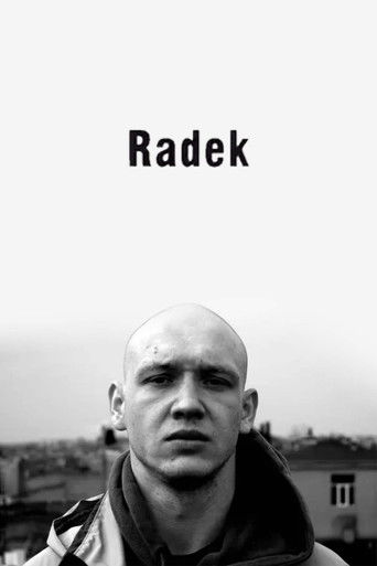 Radek poster