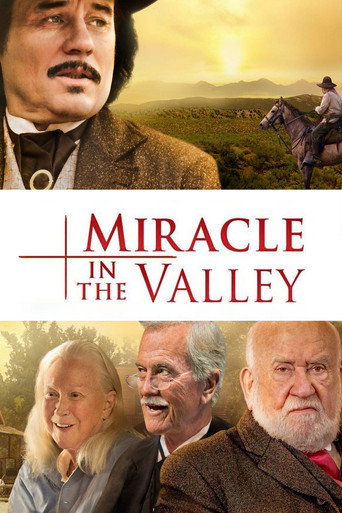 Movie poster for Miracle in the Valley (2019)