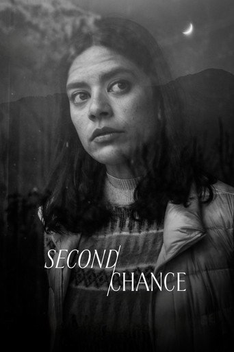 Second Chance poster