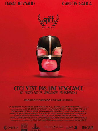 This Is Not Revenge poster