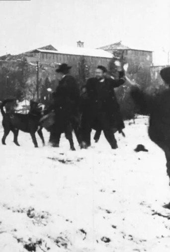 Movie poster for Snowball Fight (1896)