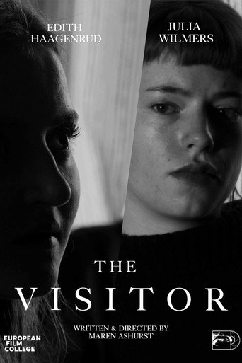 Movie poster for The Visitor (2025)