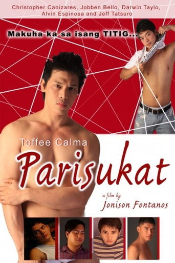 Movie poster for Parisukat (2010)