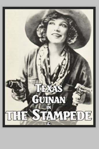 Movie poster for The Stampede (1921)