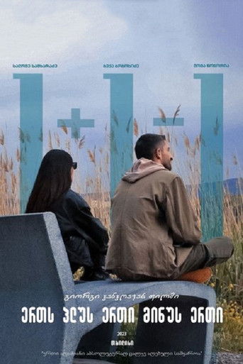1+1-1 poster