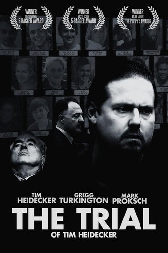 Series poster for The Trial (2017)