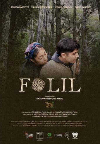 Folil poster