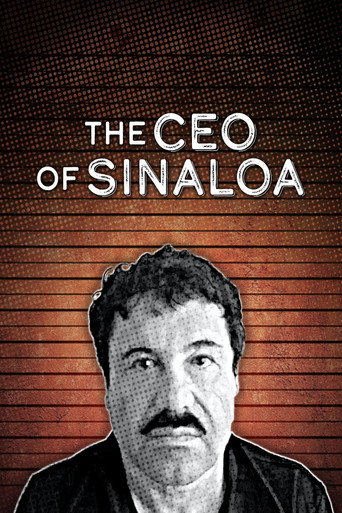 Movie poster for The CEO of Sinaloa (2021)
