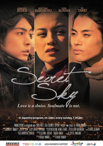 Secret Sky poster