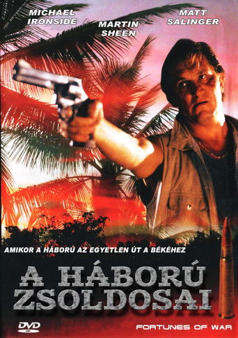 Fortunes of War poster