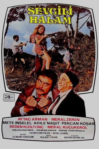 Sevgili Halam poster