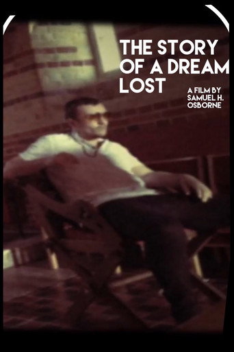 Movie poster for The Story of A Dream Lost (2017)
