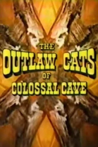Movie poster for The Outlaw Cats of Colossal Cave (1975)
