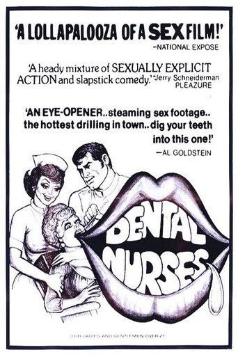 Movie poster for The Dental Nurses (1975)