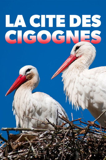Movie poster for Klappern gehört zum Geschäft: Europas größtes Storchendorf