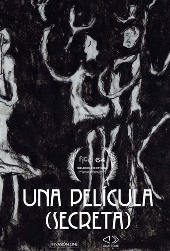 Movie poster for Una película (secreta) (2025)
