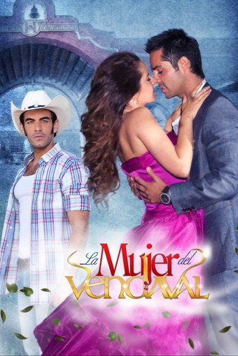 Series poster for The Lady from Vendaval (2012)