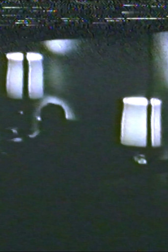 Movie poster for Audio and Visual Experiment 20 (2024)