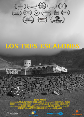 Movie poster for The three steps (2019)