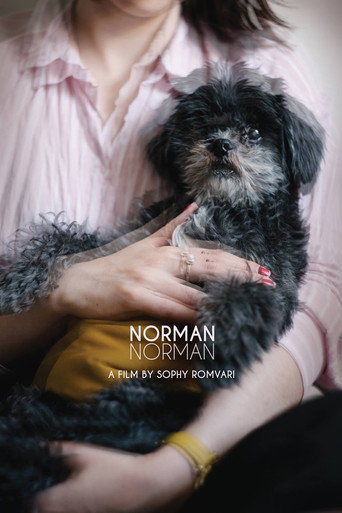 Movie poster for Norman Norman (2018)