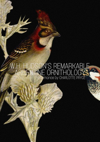 Movie poster for W.H. Hudson’s Remarkable Argentine Ornithology (2013)