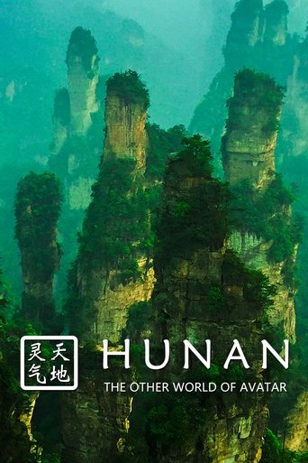 Movie poster for Hunan: The Other World of Avatar (2015)