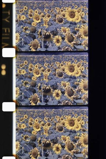 Movie poster for Les tournesols colorés (1983)