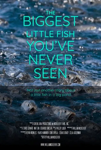 The Biggest Little Fish You've Never Seen poster