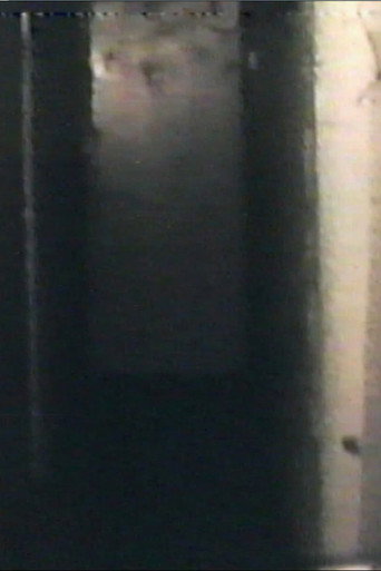 Movie poster for Audio and Visual Experiment 8 (2023)