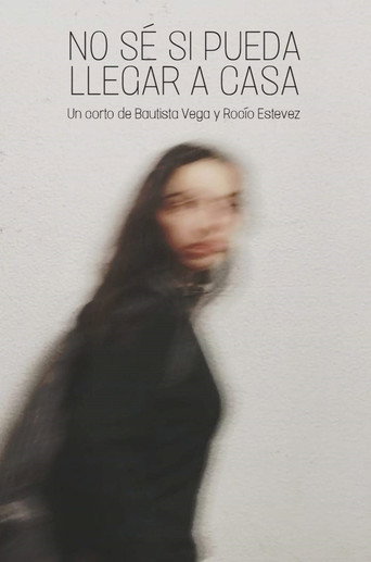 Movie poster for I don't know if I'll get home (2022)