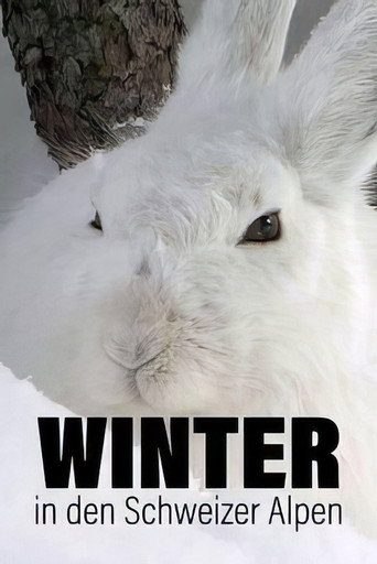 Movie poster for Winter in den Schweizer Alpen (2022)