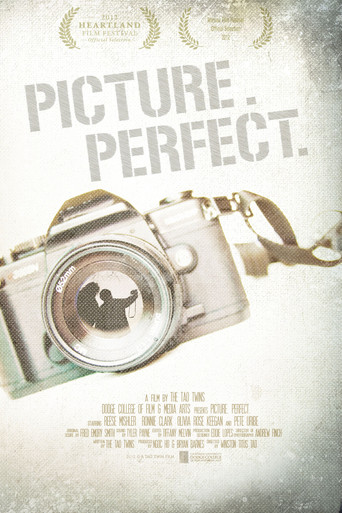 Movie poster for Picture. Perfect. (2012)