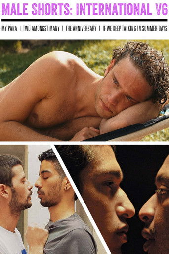 Male Shorts: International V6 poster
