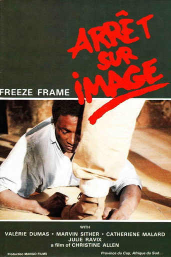 Movie poster for Arrêt sur image (1987)