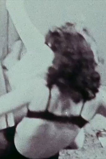 Movie poster for Sandra Battles Nora
