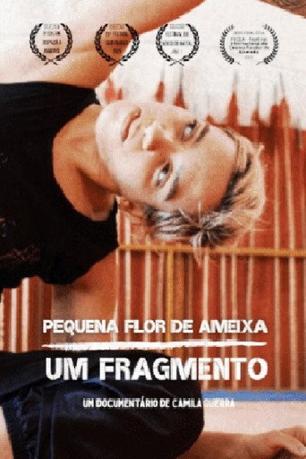 Pequena flor de ameixa: um fragmento poster