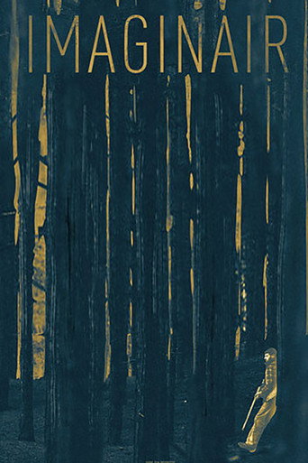 Imaginair poster