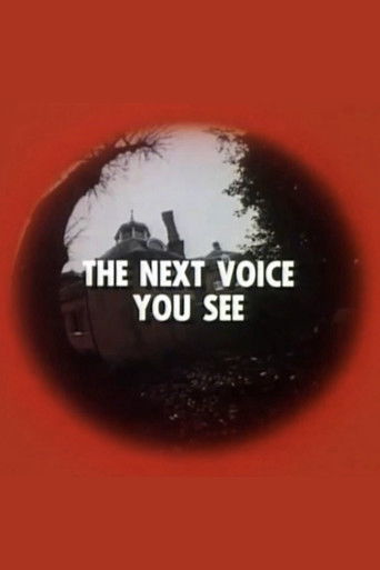 The Next Voice You See poster