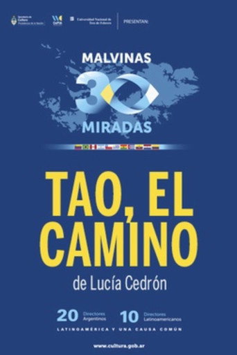Movie poster for Tao, el camino (2014)