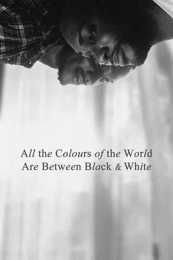 Movie poster for All the Colours of the World Are Between Black and White (2023)