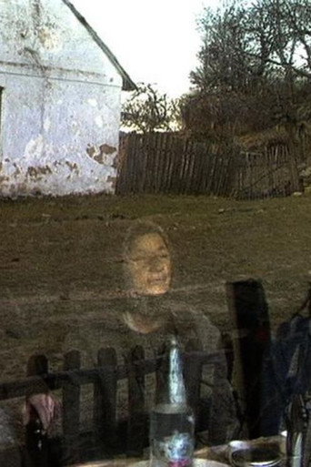 Movie poster for Lindenfeld 1994 (1994)