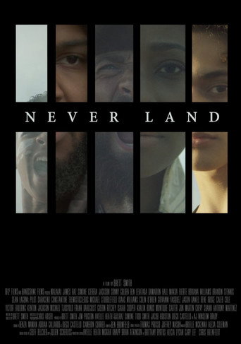 Movie poster for Never Land