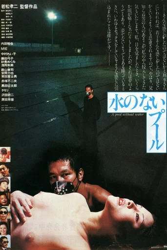 Movie poster for A Pool Without Water (1982)
