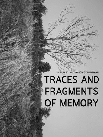 Movie poster for Traces and Fragments of Memory (2020)