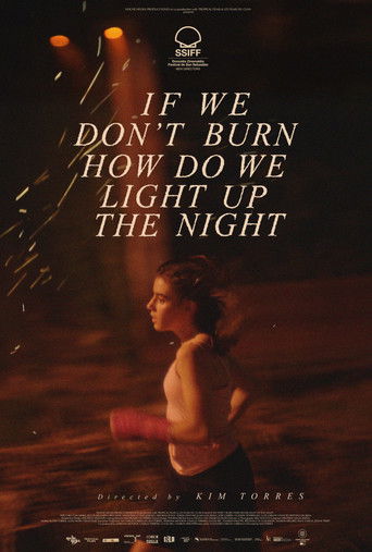 If We Don't Burn, How Do We Light Up the Night poster