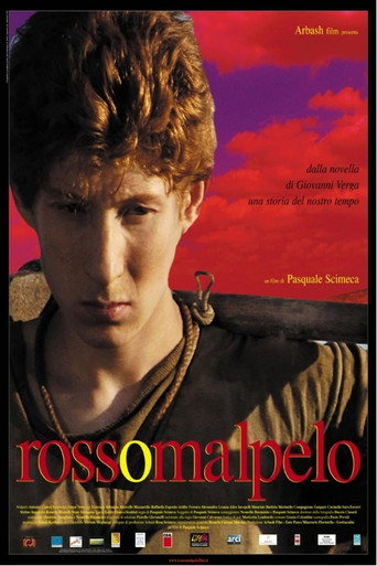 Movie poster for Rosso Malpelo (2007)